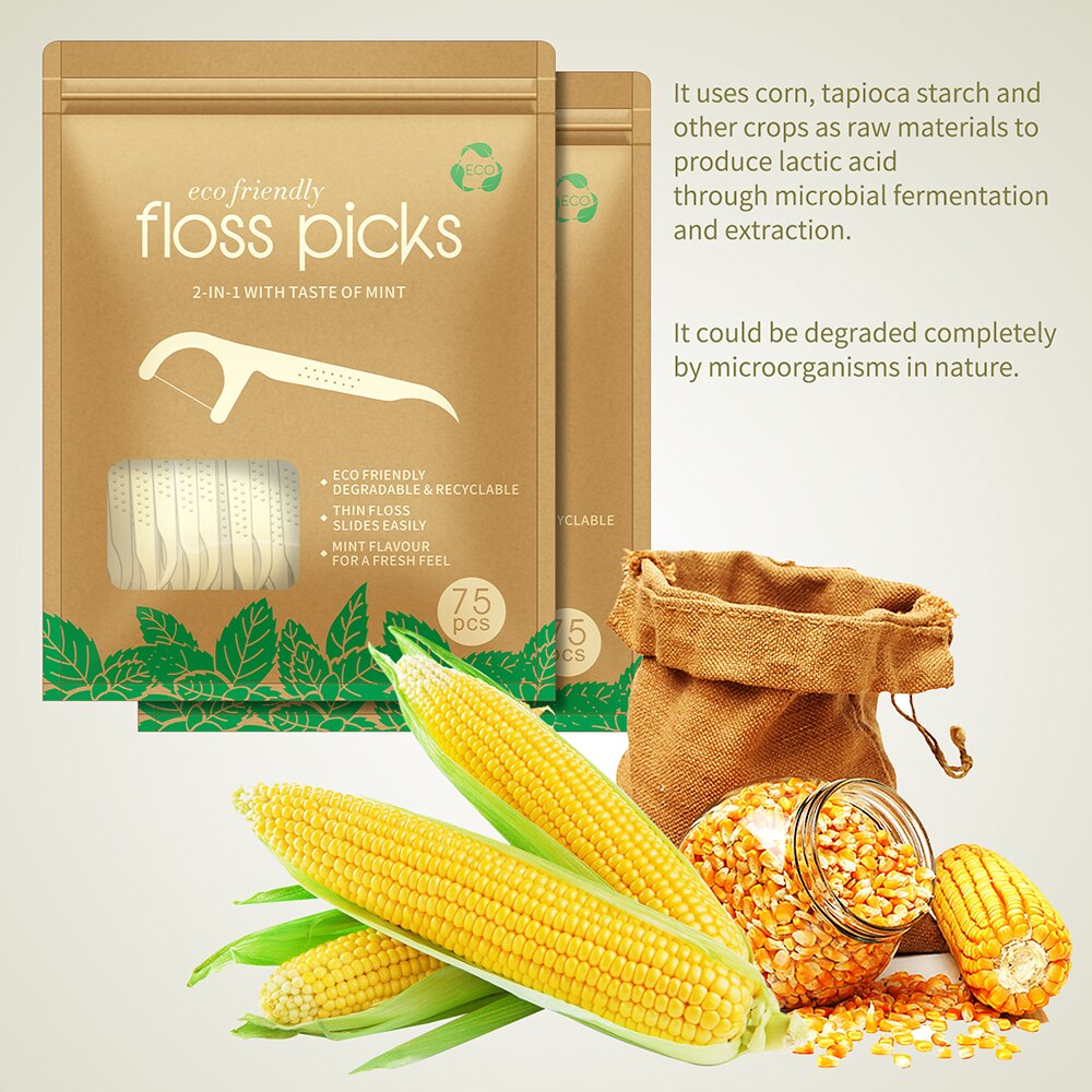 300pcs Biodegradable Dental Flosser Toothpicks